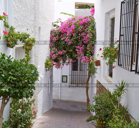 Mojacar Almeria white Mediterranean village in Spain. Стоковое фото, агентство Ingram Publishing / Фотобанк Лори