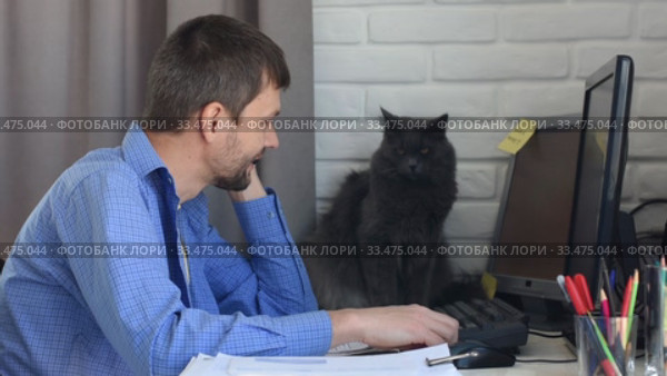 Молодой человек работает на дому и разговаривает по телефону, на дальнем плане смешной кот. Стоковое видео, видеограф Иванов Алексей / Фотобанк Лори