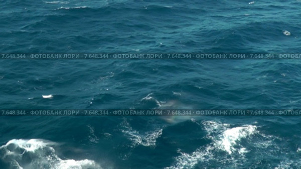Море. Стоковое видео, видеограф Старостин Сергей / Фотобанк Лори
