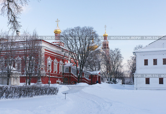 Морозным днем в Новодевичьем монастыре (2011 год). Стоковое фото, фотограф Павел Широков / Фотобанк Лори