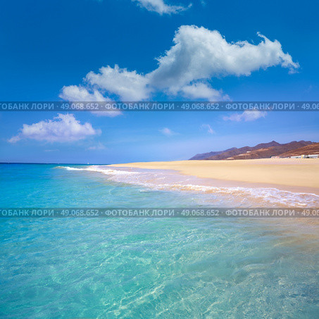 Morro Jable Matorral beach Jandia in Pajara of Fuerteventura at Canary Islands. Стоковое фото, агентство Ingram Publishing / Фотобанк Лори