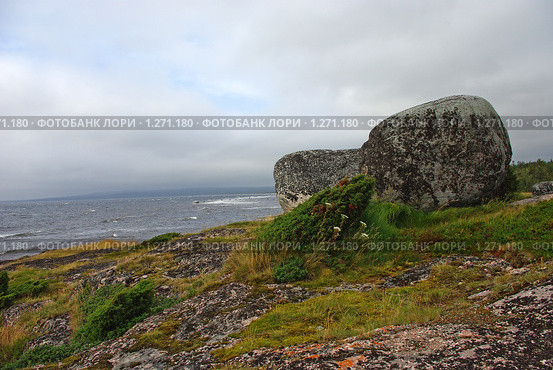 Морское побережье характерное для Белого моря. Стоковое фото, фотограф Бузун Максимилиан / Фотобанк Лори