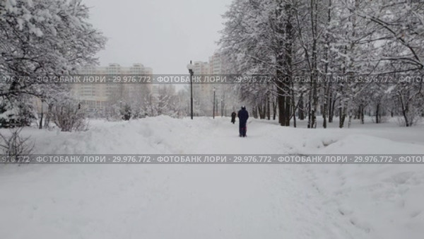 Moscow, Russia -Feb 13. 2019. Parents with baby strollers are walking in city park during a snowfall. Редакционное видео, видеограф Володина Ольга / Фотобанк Лори