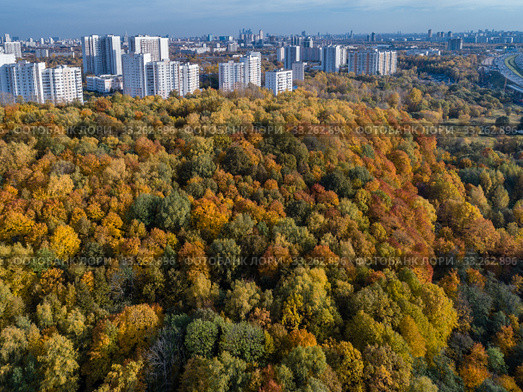 Москва, Южное Тушино, парк и усадьба "Братцево", вид сверху (2019 год). Редакционное фото, фотограф glokaya_kuzdra / Фотобанк Лори