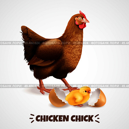 Mother hen with newly hatched chick with eggshell closeup realistic chicken life cycle element poster vector illustration. Стоковая иллюстрация, агентство Ingram Publishing / Фотобанк Лори