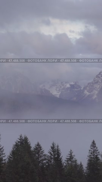 Mountain alps landscape with trees in fog clouds. Стоковое видео, видеограф Михаил Коханчиков / Фотобанк Лори