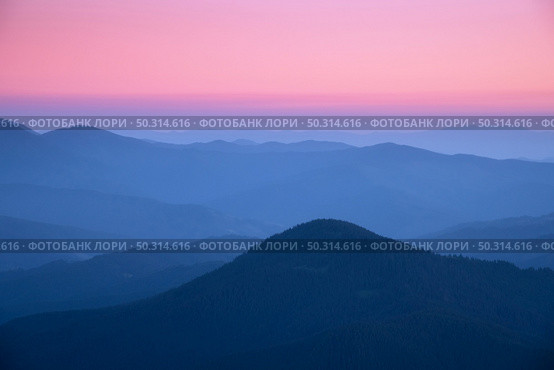Mountain ridges in fog at sunset in autumn. Beautiful landscape with foggy mountain valley, rocks, forest, pink sky in fall at dusk in blue hour. Aerial view of hills. Top view. Nature background. Стоковое фото, агентство Ingram Publishing / Фотобанк Лори