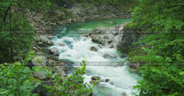 Mountain river with clear fresh water flows in summer forest. The beauty of nature. The wild brook l. Стоковое видео, видеограф Igor Tichonow / Фотобанк Лори
