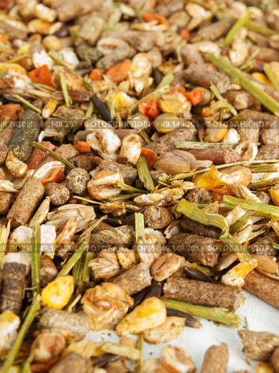 muesli background  for aging  horse. close up. Стоковое фото, агентство Ingram Publishing / Фотобанк Лори