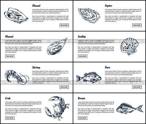 Mussel and oyster posters set. Scallop shell and marine dwellers shrimp. Bass fish bream and crab with headlines and text sample vector illustration. Mussel and Oyster Posters Set Vector Illustration. Стоковая иллюстрация, агентство Ingram Publishing / Фотобанк Лори