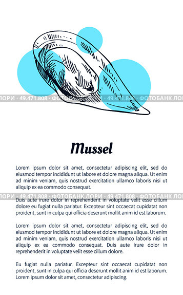 Mussel seafood vector hand drawn illustration. Decorative icon of ocean animal isolated on white with blue spots restaurant menu vintage template. Mussel Seafood Vector Hand Drawn Illustration. Стоковая иллюстрация, агентство Ingram Publishing / Фотобанк Лори