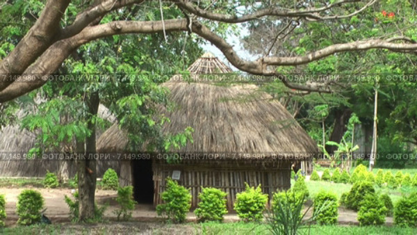 Музей деревни (Kijiji cha Makumbusho, Village Museum) с различными типами деревенских домов этнических групп Танзании. Национальный музей в городе Dar es Salaam, Африка (2014 год). Стоковое видео, видеограф Кекяляйнен Андрей / Фотобанк Лори