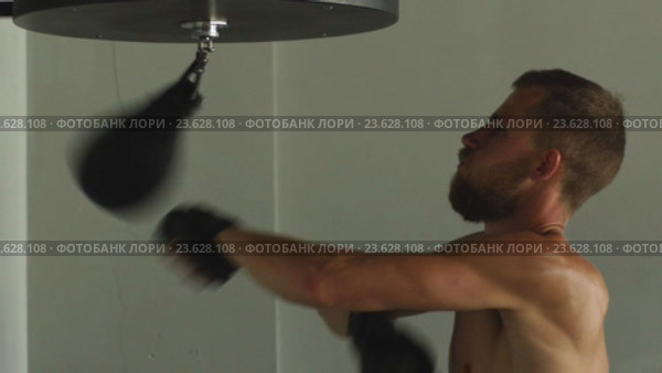 Мужчина боксирует с грушей. Стоковое видео, видеограф Виктор Аллин / Фотобанк Лори