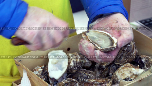 Мужчина чистит устрицы на рынке морепродуктов. Стоковое видео, видеограф Vladimir Botkin / Фотобанк Лори