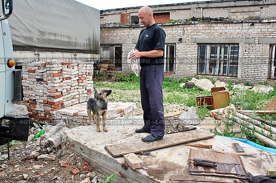Мужчина подкармливает бездомную собаку (2012 год). Редакционное фото, фотограф Сагирова Алсу / Фотобанк Лори