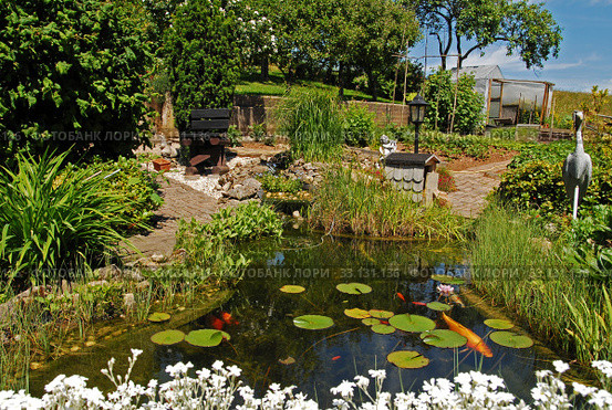 my beautiful garden. Стоковое фото, фотограф Herbert Esser / Smarterpix / Фотобанк Лори