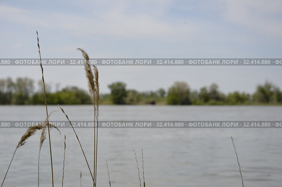 На Ахтубе. Стоковое фото, фотограф Игорь Пересвет / Фотобанк Лори