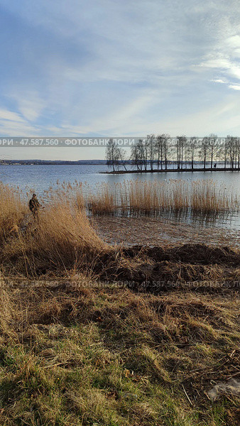 На берегу озера. Стоковое фото, фотограф Анастасия Соломенко / Фотобанк Лори