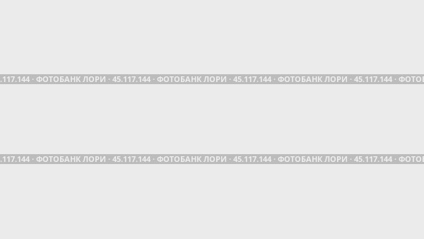 Набор анимаций, символ общего доступа. Анимации: прозрачность, масштабирование, переход сверху вниз, переход слева направо, скольжение вверх-вниз, скольжение слева направо. Стоковое видео, видеограф Карпенко Алексей / Фотобанк Лори