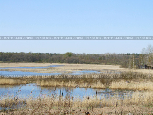 Natural landscape of marshy area with water areas and dry grass. In the foreground you can see dried reed stems and dry plants, partially submerged in water. The reservoir is divided into several small channels and bays, which are interspersed with thickets of reeds and bushes. On the horizon there is a dense forest consisting of deciduous and coniferous trees. The sky is clear, blue, without clouds, which emphasizes the spring atmosphere of the awakening of nature. The photo conveys the calm, naturalness and beauty of wild nature. Стоковое фото, фотограф Анна Кривицкая / Фотобанк Лори