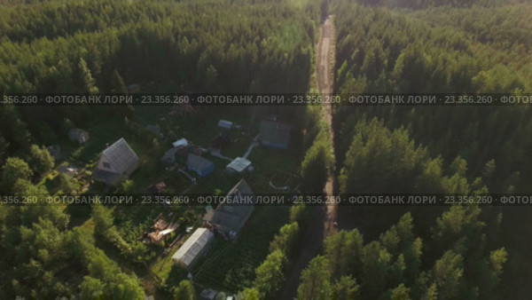 Небольшой дачный участок в лесу с грунтовой дорогой. Карелия (2016 год). Стоковое видео, видеограф Кекяляйнен Андрей / Фотобанк Лори