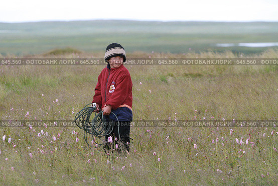 Ненецкий  мальчик с  маутом (2008 год). Редакционное фото, фотограф Николай Гернет / Фотобанк Лори