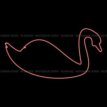 Neon swan bird Waterbird red color vector illustration image flat style light. Neon swan bird Waterbird red color vector illustration image flat style. Стоковая иллюстрация, агентство Ingram Publishing / Фотобанк Лори