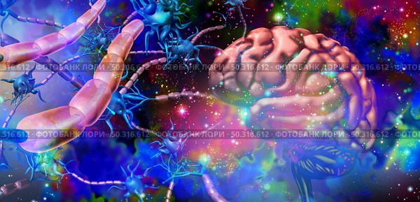 Nervous system neurology and brain nerve cells anatomy concept as human neuron function disorder symbol for multiple sclerosis or alzheimer disease or psychedelics science and with 3D illustration elements. Стоковое фото, агентство Ingram Publishing / Фотобанк Лори