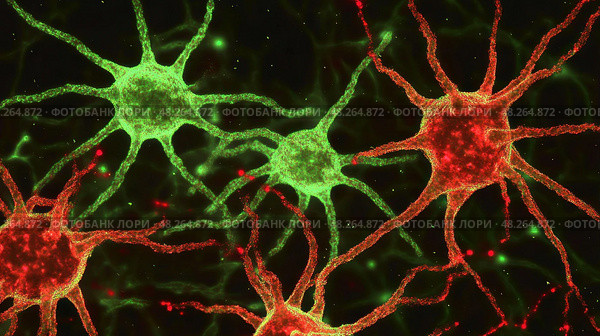 Neurons firing showing interconnected neural network communicating through synapses. Стоковое AI-изображение, AI-художник Юрий Поздников / Фотобанк Лори