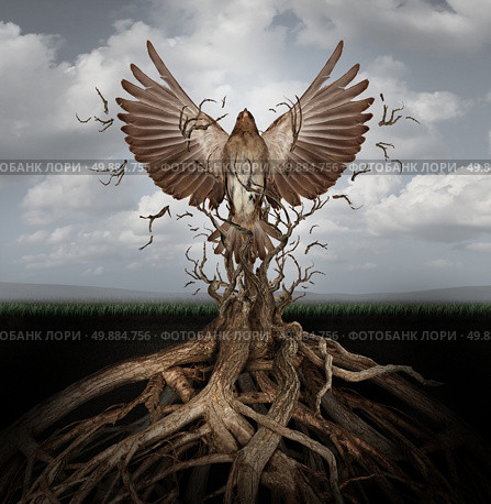 New life breaking free as a concept for freedom and power as the rise of the phoenix to be reborn and overcome challenges rising from entangled tree roots as a success symbol of hope. Стоковое фото, агентство Ingram Publishing / Фотобанк Лори