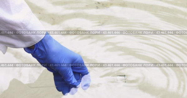 Независимый эксперт берет пробы родниковой питьевой воды для анализа, наливает ее в стеклянную пробирку, работает в халате и защитных перчатках. Стоковое видео, видеограф Сергей Чайко / Фотобанк Лори