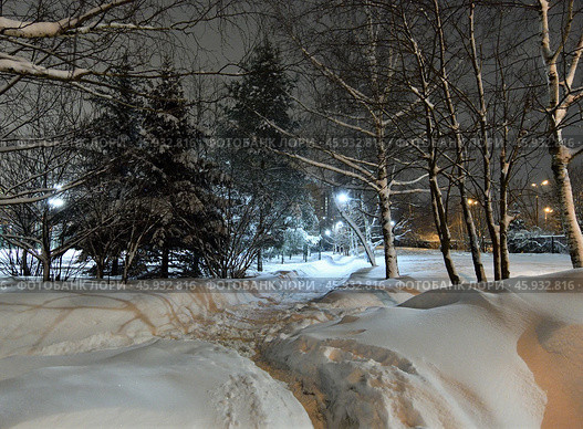 Night city park during snowfall. Moscow, Russia (2024 год). Стоковое фото, фотограф Володина Ольга / Фотобанк Лори