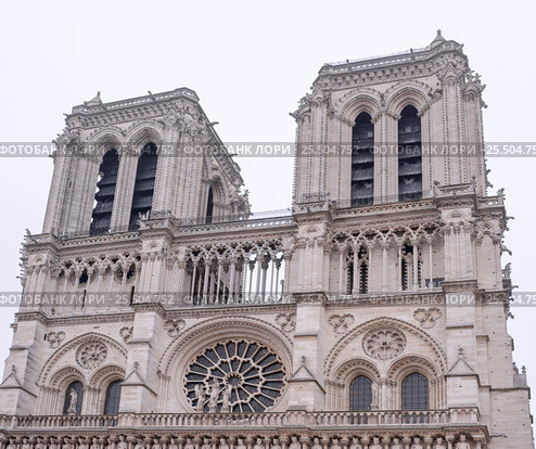 Notre Dame Cathedral on a winter day (2017 год). Стоковое фото, фотограф Александр Перепелицын / Фотобанк Лори