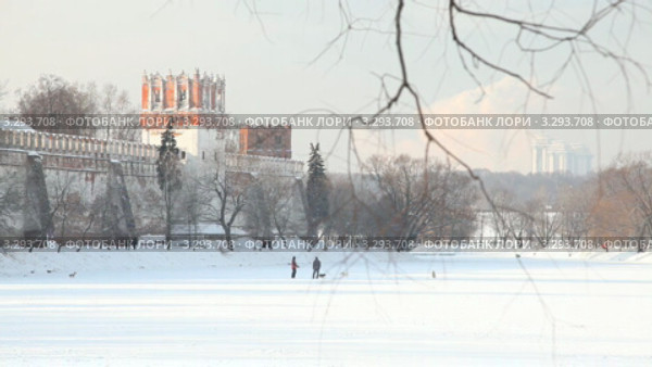 Новодевичий пруд зимой (2011 год). Стоковое видео, видеограф Кирилл Трифонов / Фотобанк Лори