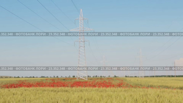 Новые линии электропередач высокого напряжения на Маковом поле в Крыму. Стоковое видео, видеограф Юлия Машкова / Фотобанк Лори