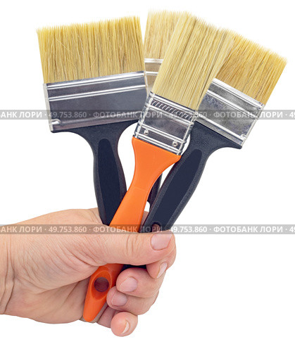 Новые малярные кисточки на белом фоне. New paint brushes isolated on a white background. Стоковое фото, фотограф Татьяна Д / Фотобанк Лори