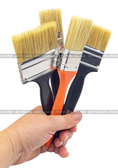 Новые малярные кисточки на белом фоне. New paint brushes isolated on a white background. Стоковое фото, фотограф Татьяна Д / Фотобанк Лори