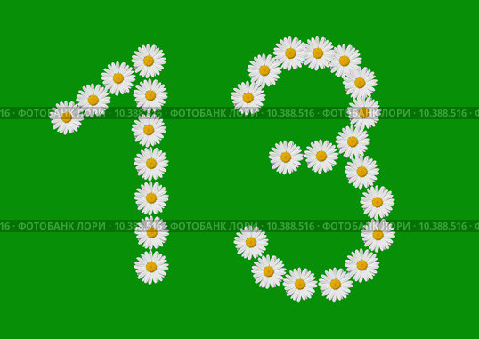 number thirteen made in daisy flower. Стоковое фото, фотограф daniel guffanti / PantherMedia / Фотобанк Лори