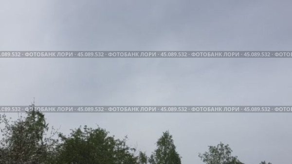 Облака над деревьями. Над высокими деревьями по синему небу быстро плывут пасмурные белые не прозрачные облака. Они почти полностью закрывают небо и на ходу сохраняют свою форму. Стоковое видео, видеограф Andrew_Swarga / Фотобанк Лори