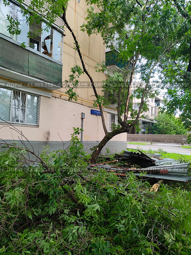 Обрушенное дерево возле жилого дома после урагана. Разбитое стекло. Москва (2024 год). Редакционное фото, фотограф Ирина Терентьева / Фотобанк Лори