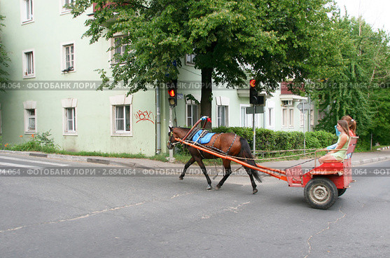 Одна лошадиная сила (2011 год). Редакционное фото, фотограф Щеголева Ольга / Фотобанк Лори