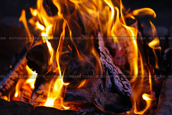 Огонь крупным планом. Ночной костер в лесу. / Fire close-up. Night fire in the forest. Стоковое фото, фотограф Наталья Баранова / Фотобанк Лори