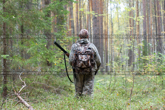 Охотник в сосновом бору. Стоковое фото, фотограф Павел Родимов / Фотобанк Лори