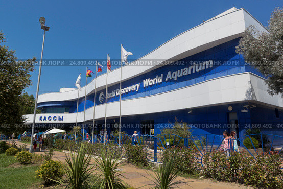 Океанариум Sochi Discovery World Aquarium в Адлере, Сочи (2016 год). Редакционное фото, фотограф Николай Мухорин / Фотобанк Лори