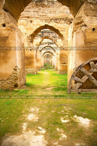 old moroccan granary in the green grass and archway  wall. Стоковое фото, агентство Ingram Publishing / Фотобанк Лори