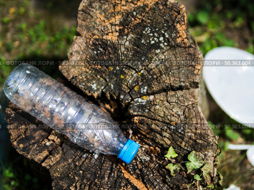 OLYMPUS DIGITAL CAMERA. overhead view empty plastic water bottle tree stump. Стоковое фото, агентство Ingram Publishing / Фотобанк Лори