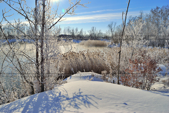 Omsk region, Siberian, Russia. Стоковое фото, фотограф Александр Карпенко / Фотобанк Лори