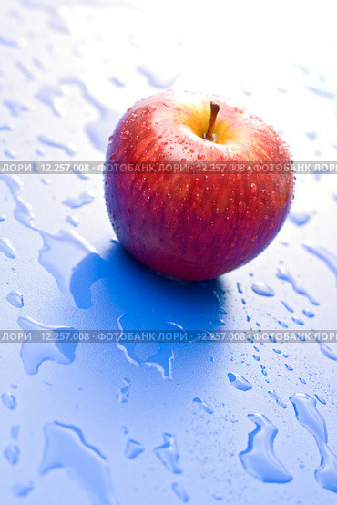 One wet red apple. Стоковое фото, фотограф Ilka Erika Szasz-Fabian / Smarterpix / Фотобанк Лори