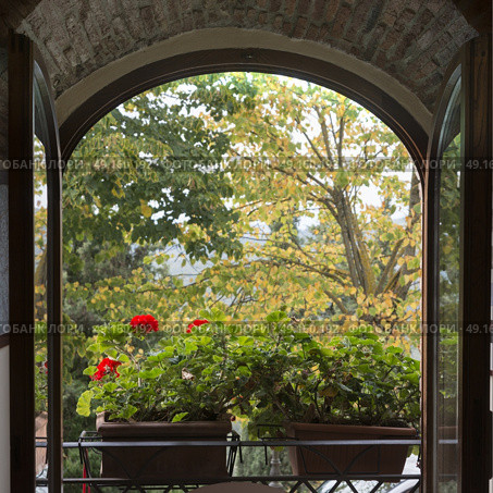 Open window showing flowers in window box , Radda in Chianti, Tuscany, Italy. Стоковое фото, агентство Ingram Publishing / Фотобанк Лори