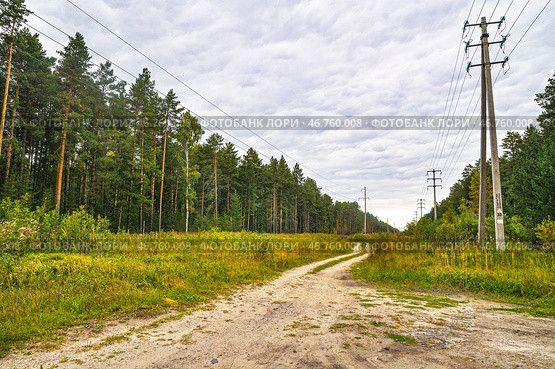 Опоры ЛЭП на лесной просеке осенью. Стоковое фото, фотограф Александр Тараканов / Фотобанк Лори